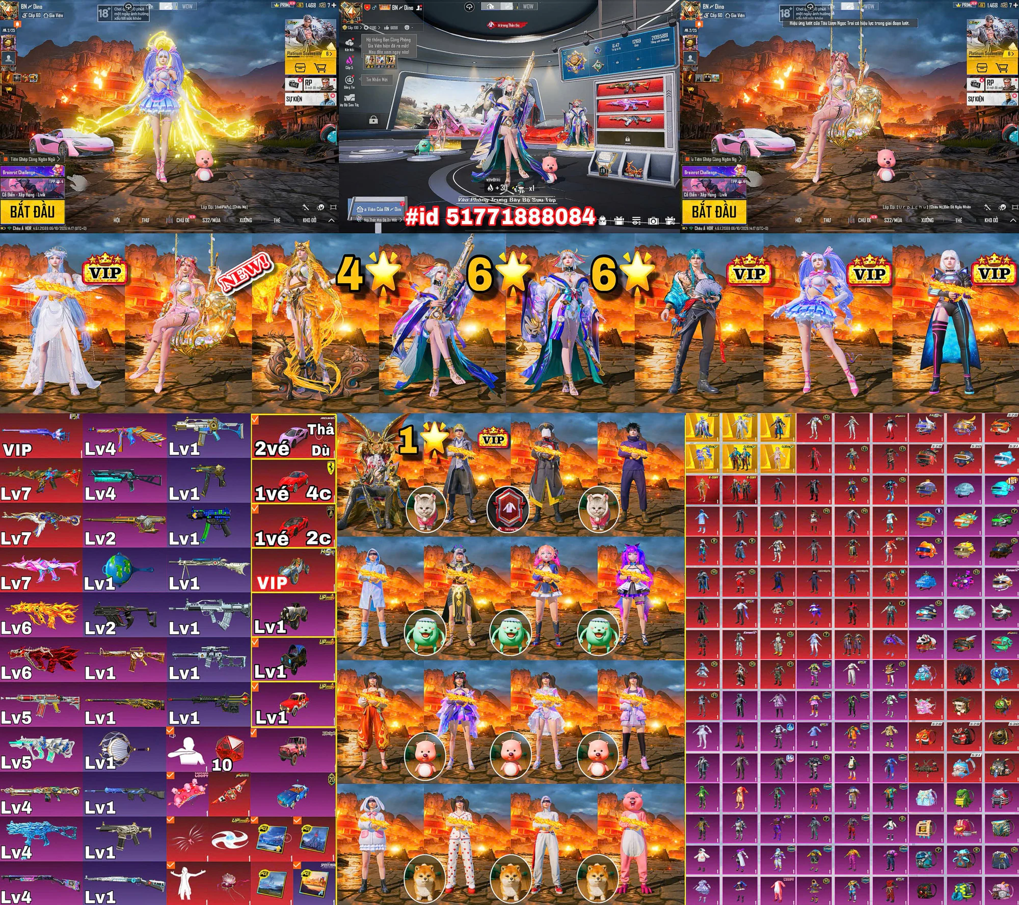 Ảnh tài khoản mã 17443